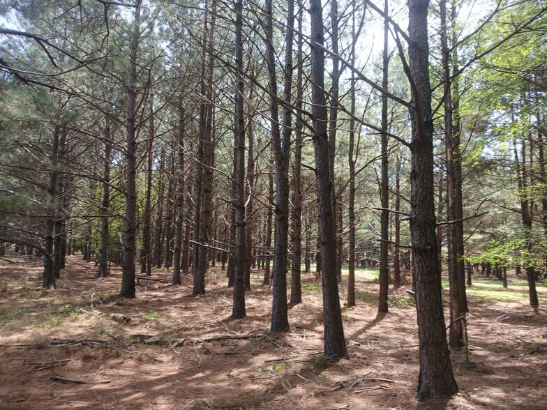 More Photos Of 414000 E 1920 Rd, Antlers Land For Sale