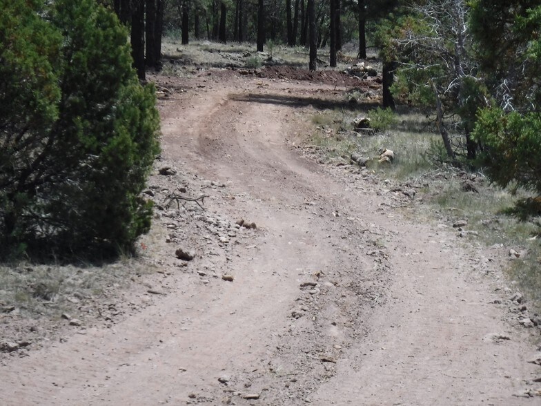 More Photos Of Interstate 40 @ Roundhouse Rd, Williams Land For Sale