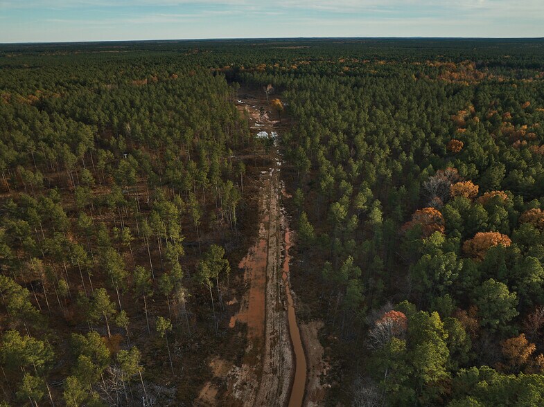 More Photos Of 480 Martin Rd, Cotton Valley Land For Sale