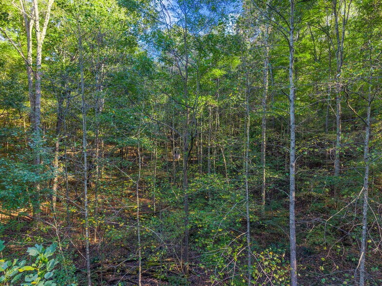 More Photos Of 0 Cox Hollow Rd, Dover Land For Sale