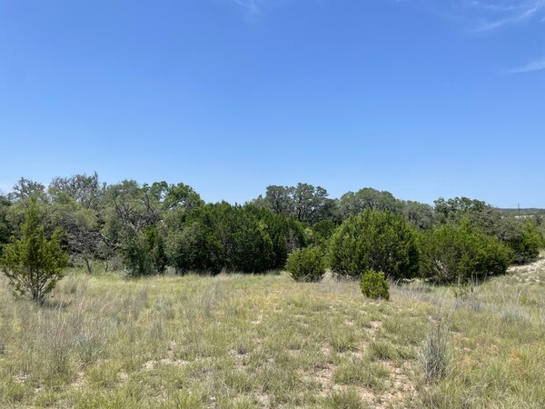 More Photos Of 221 W Rolling Oaks Dr, Goldthwaite Land For Sale