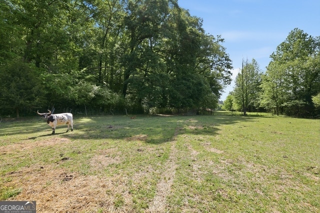 More Photos Of 3120 W Currahee St, Toccoa Land For Sale