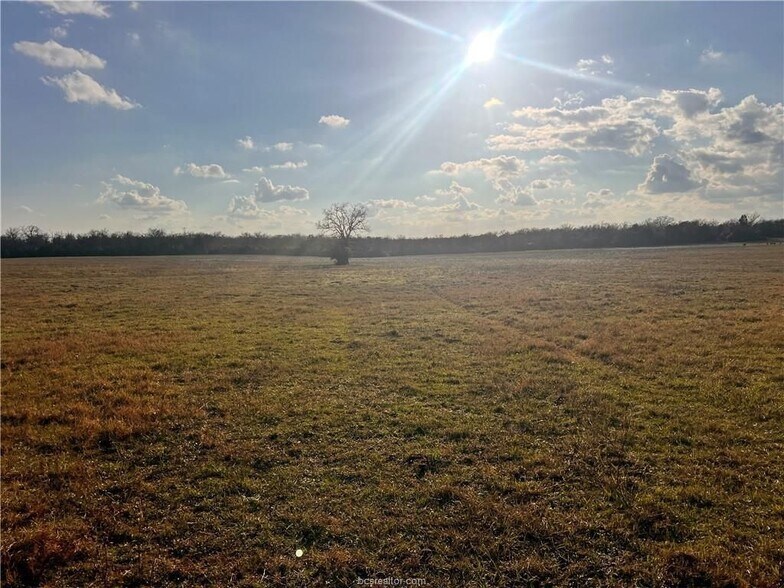More Photos Of Fm-1469, Marquez Land For Sale
