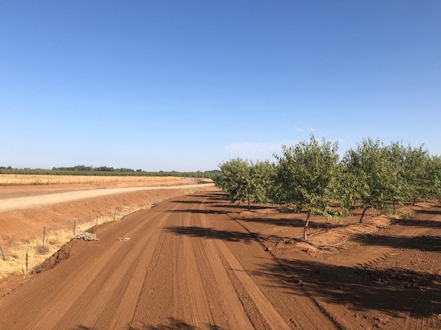More Photos Of 86.5 +- ac Organic Almonds Shaw Avenue Clovis Ca, Clovis Land For Sale