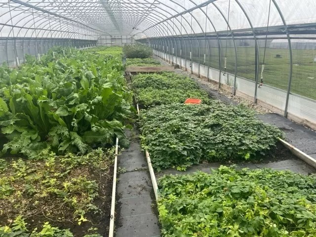 More Photos Of 9555 Gast Rd, Bridgman Shelter For Sale