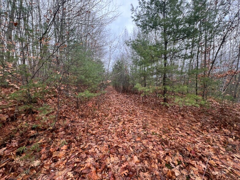 More Photos Of 171 Pine River Rd, Effingham Hospitality For Sale