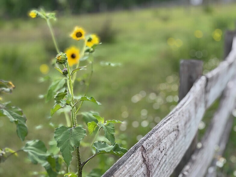 More Photos Of 36641 Blanton Rd, Dade City Land For Sale