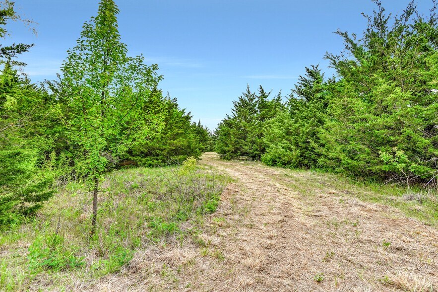 More Photos Of TBD Airport Rd rd, Tioga Land For Sale