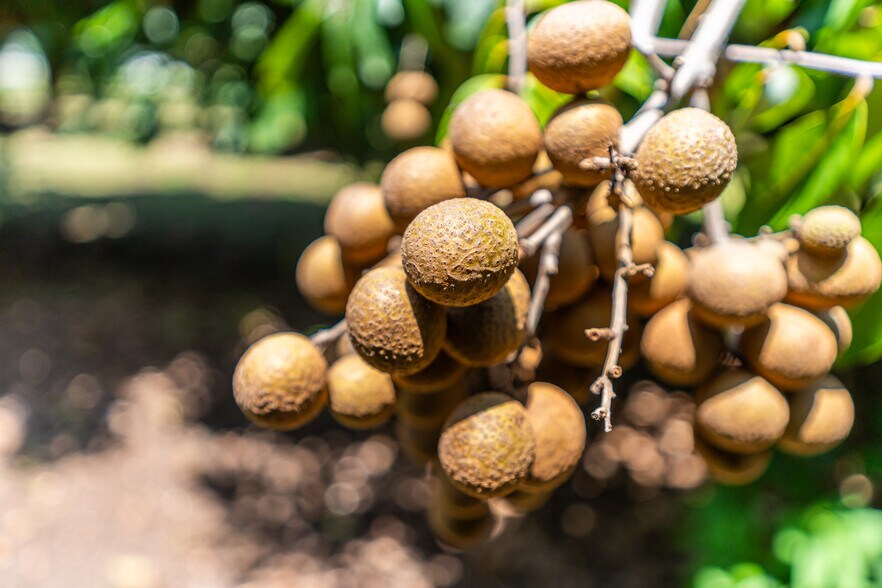 More Photos Of SW 236th Ave, Homestead Land For Sale