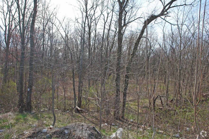 Primary Photo Of 16-18 Myers Corners Rd, Wappingers Falls Land For Sale