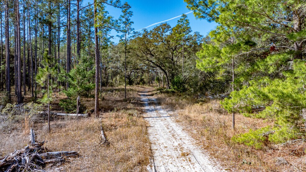 More Photos Of 13615 Tyrone St, Hudson Land For Sale