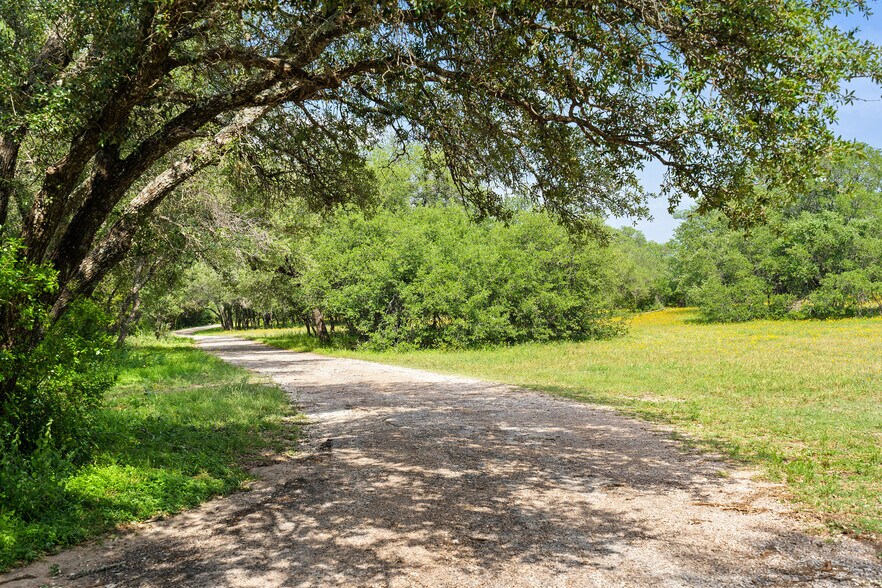 More Photos Of 534 County Road 407, Spicewood Land For Sale