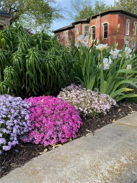 More Photos Of 809 Hall St, Saint Joseph Hospitality For Sale