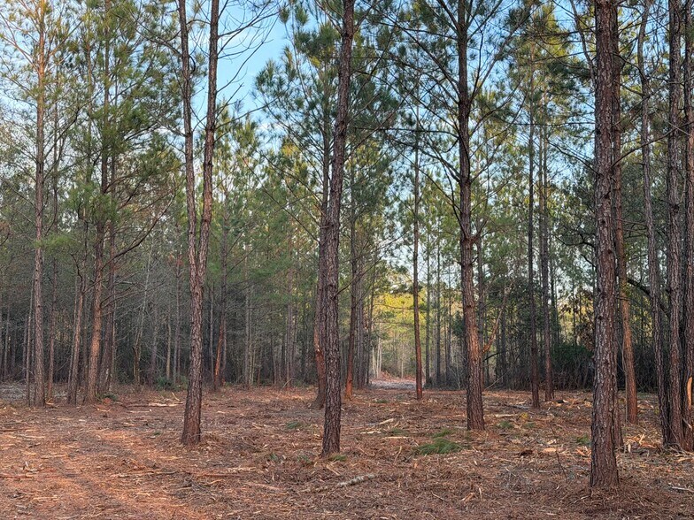 More Photos Of 319 - 547 Sisters Ferry Road, Ridgeland Land For Sale