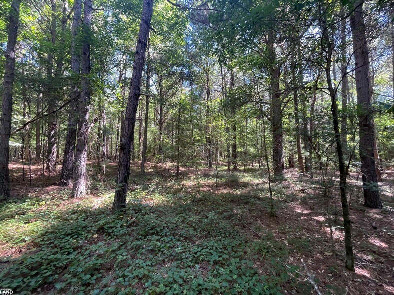 More Photos Of 0 Highway 83 North, Jefferson Land For Sale