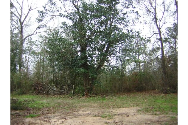 More Photos Of Pin Oak & Reinhart, New Caney Land For Sale