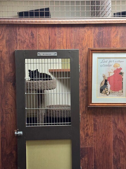 More Photos Of 6909 E Lincoln Dr, Paradise Valley Veterinarian Kennel For Sale