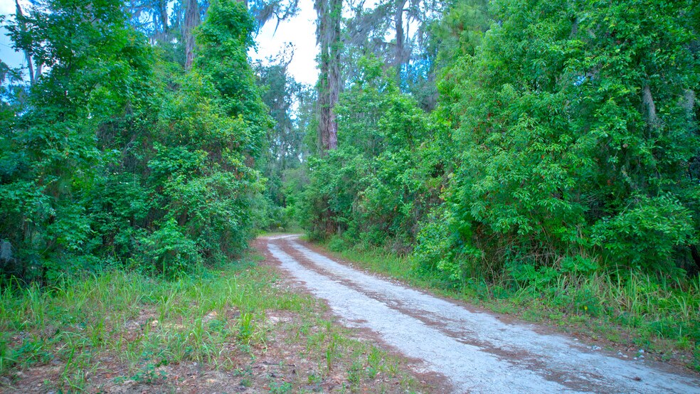 More Photos Of 3267 Neff Lake Rd, Brooksville Land For Sale