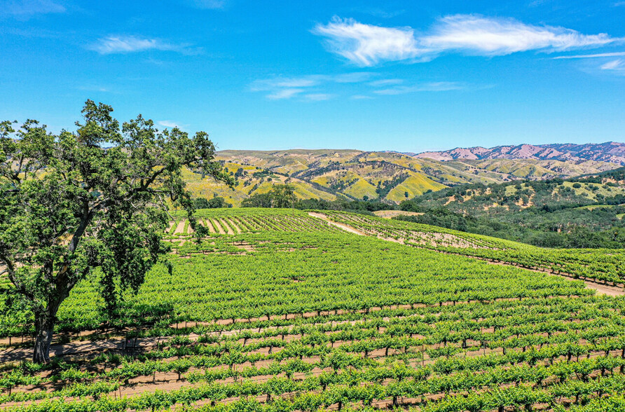 Primary Photo Of 18820 Cachagua Rd, Carmel Valley Winery Vineyard For Sale