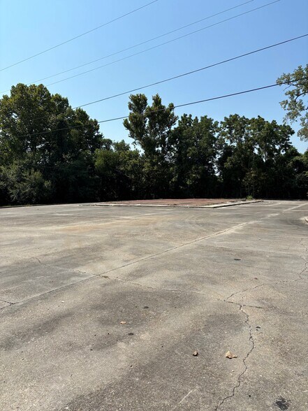 Primary Photo Of 3732 HWY 1, Donaldsonville Land For Sale