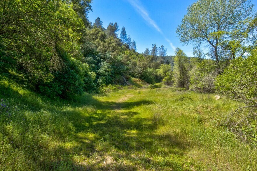More Photos Of 4780-4784 Mary Harrison Mine Rd, Coulterville Land For Sale