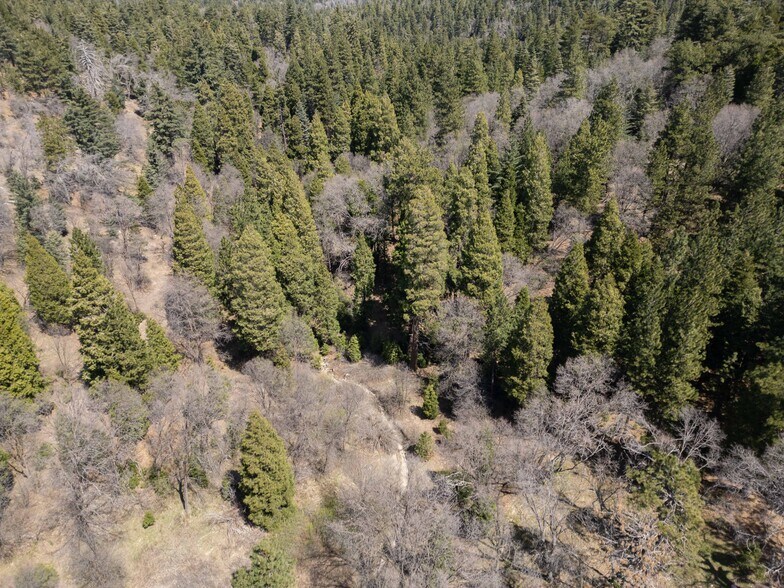 More Photos Of 26689 California 18, Rimforest Land For Sale