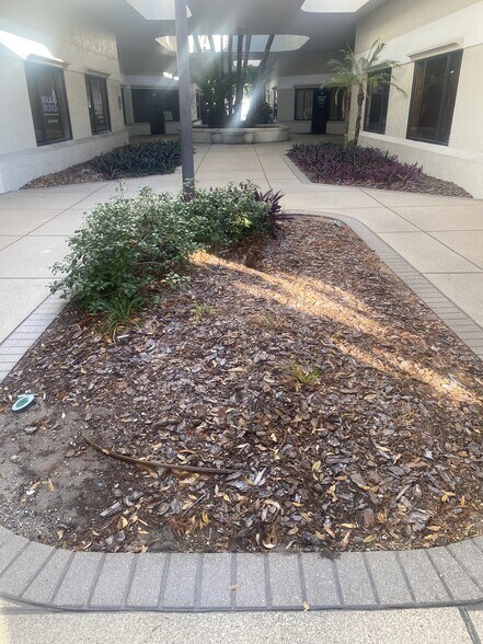 More Photos Of 3023 Eastland Blvd, Clearwater Office For Sale