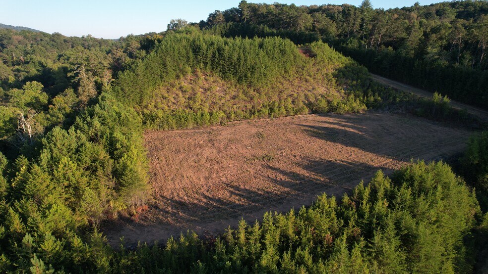 More Photos Of 8 First Ave, Ellijay Land For Sale