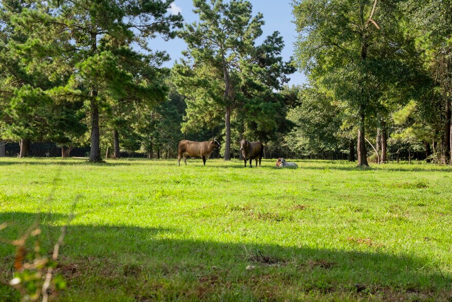 More Photos Of 18121 TX-105, Plantersville Land For Sale