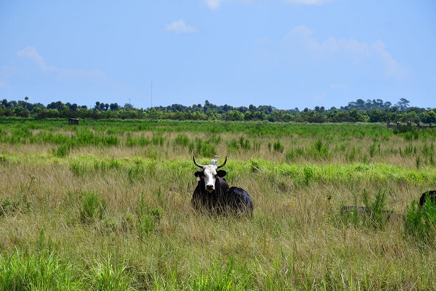 More Photos Of 4550 Shinn Rd, Fort Pierce Land For Sale
