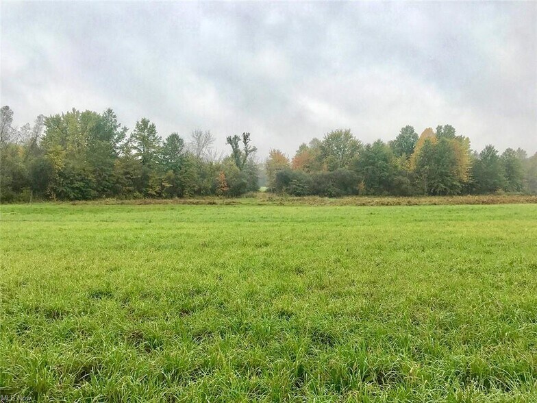 More Photos Of Bryant & SR 82 rd, Garrettsville Land For Sale