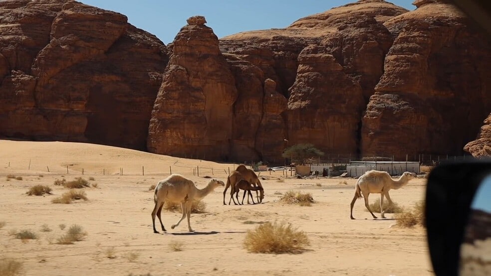 More Photos Of ,  Unknown For Sale