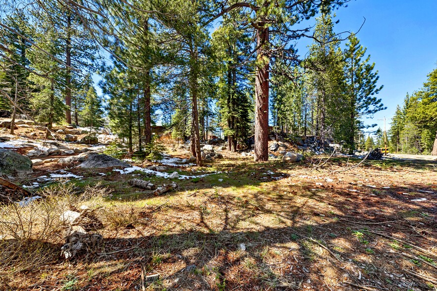 More Photos Of 804 Hwy 50, South Lake Tahoe Lodge Meeting Hall For Sale
