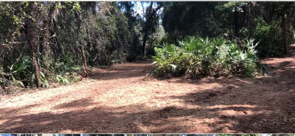 More Photos Of N LAKE REEDY BLVD, Frostproof Land For Sale