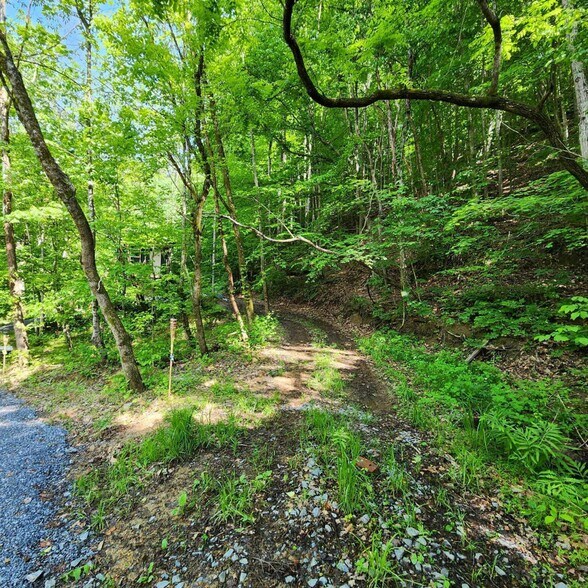 More Photos Of 0 Wayfield Drive, Johnson City Land For Sale