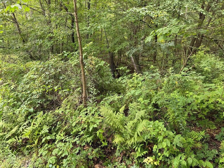 More Photos Of 0 Sally Burr Rd, Litchfield Land For Sale