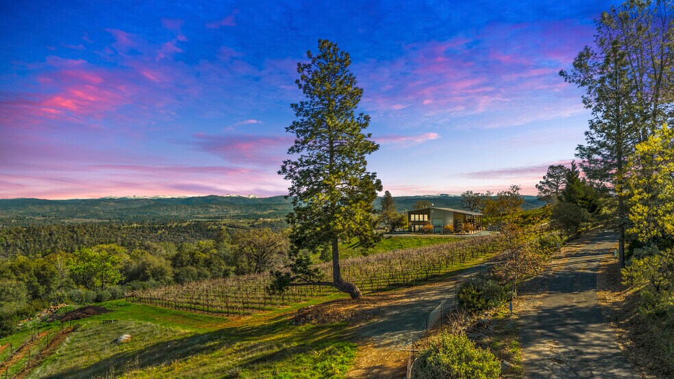 More Photos Of 6781 Tower, Somerset Winery Vineyard For Sale