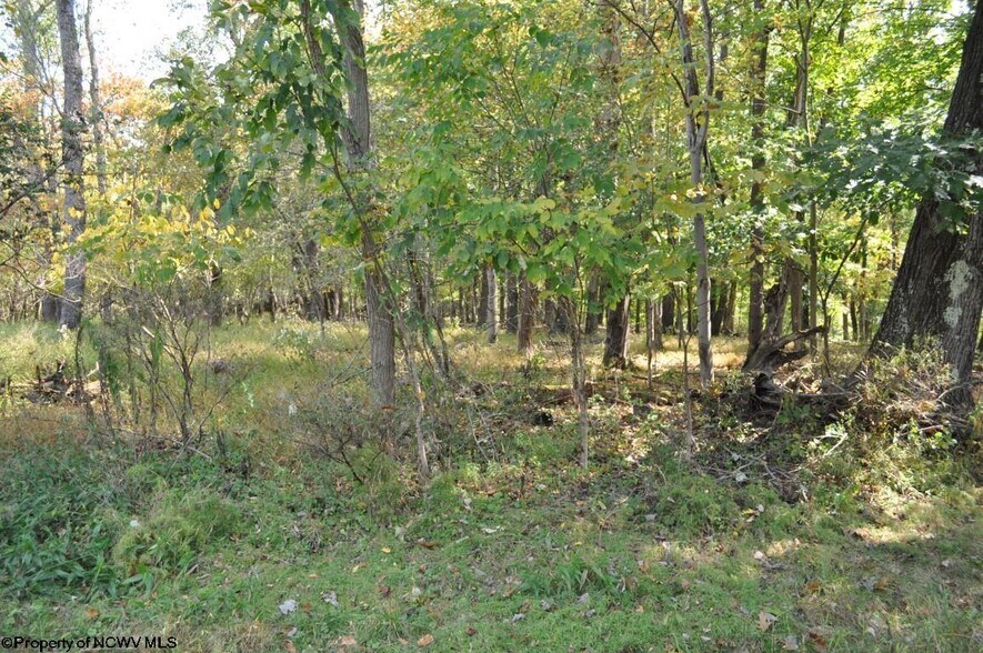 More Photos Of 3039 Earl L Core Rd, Morgantown Land For Sale