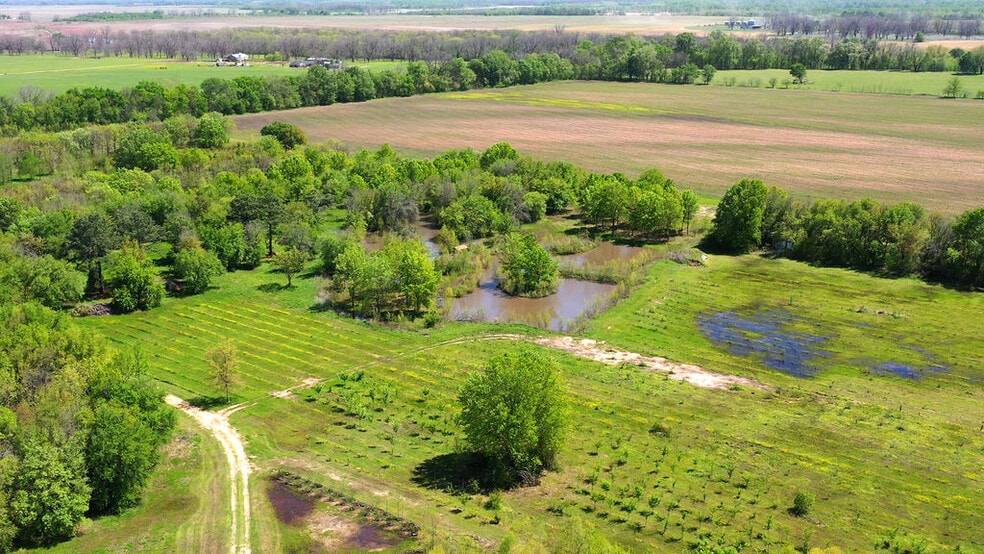 More Photos Of 500 Tree Farm Rd, Garvin Land For Sale