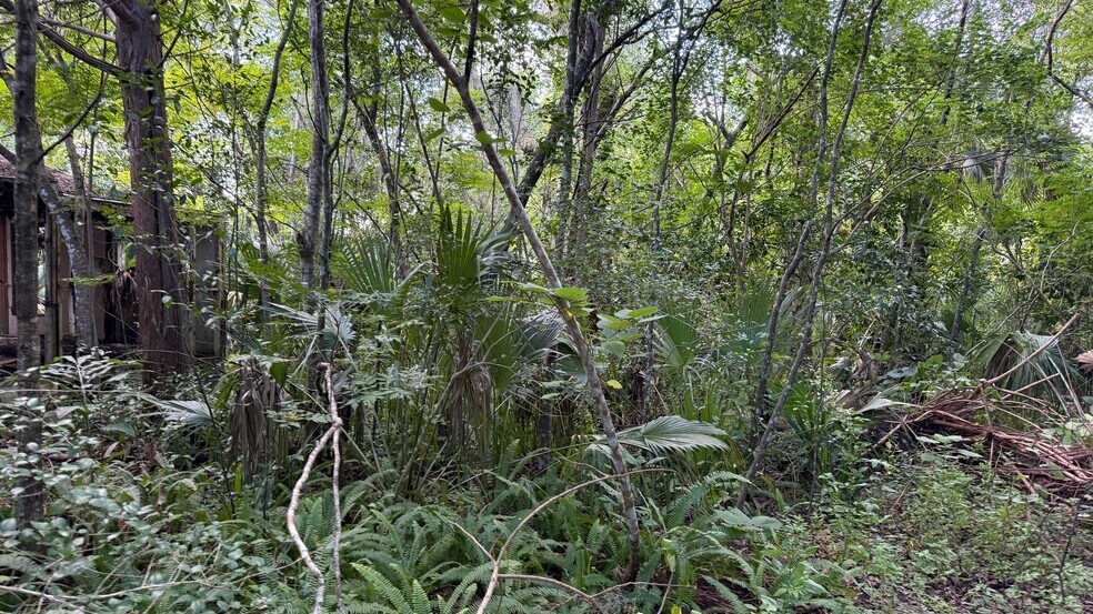 More Photos Of 1849 Princeton Street, Seville Land For Sale