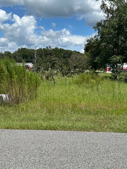 More Photos Of 1051 Paul Dr, Inverness Land For Sale