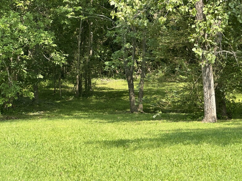 Primary Photo Of 109 Elizabeth St, Ashland City Land For Sale