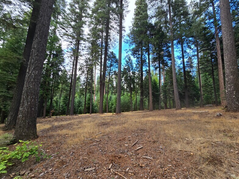 More Photos Of 1229 Blair Rd, Pollock Pines Land For Sale
