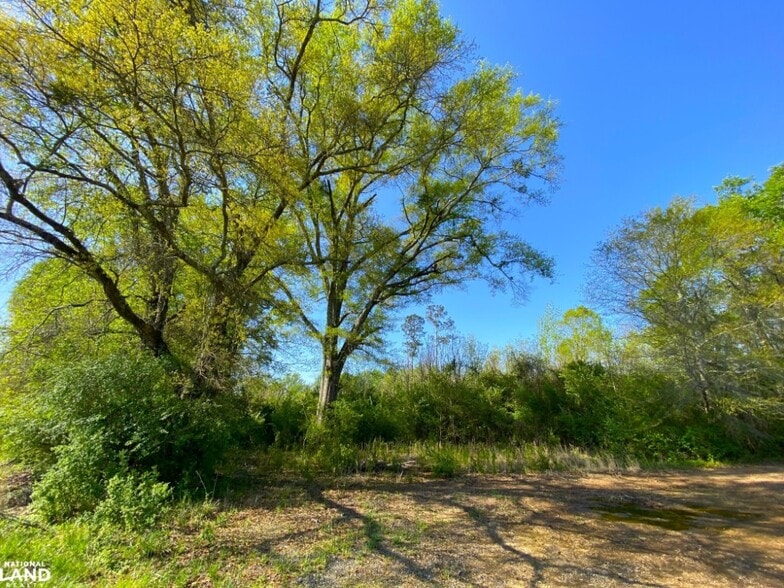 More Photos Of 3098 N HWY 171, Fayette Land For Sale