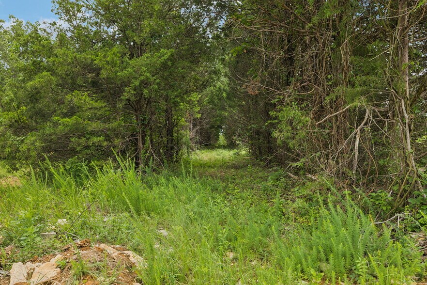 More Photos Of 7665 Shelbyville Pike, Christiana Land For Sale