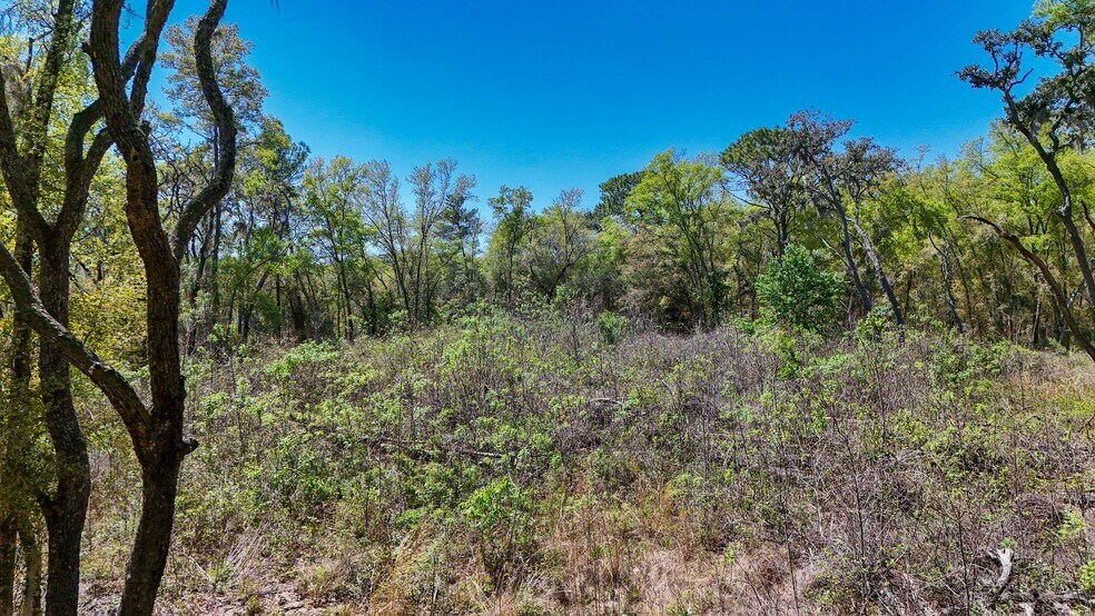 More Photos Of 161 W Norvell Bryant Hwy, Hernando Land For Sale