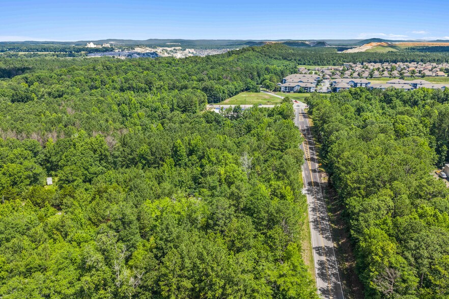 More Photos Of 160 160 County Road 42, Calera Land For Sale