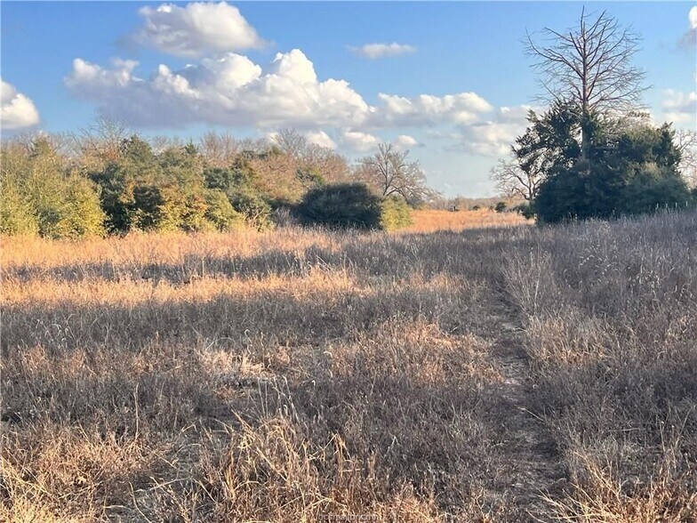 More Photos Of Fm-1469, Marquez Land For Sale