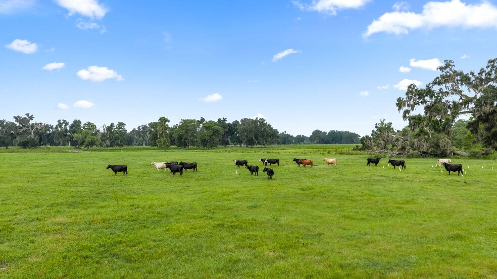 More Photos Of CR 774, Webster Land For Sale
