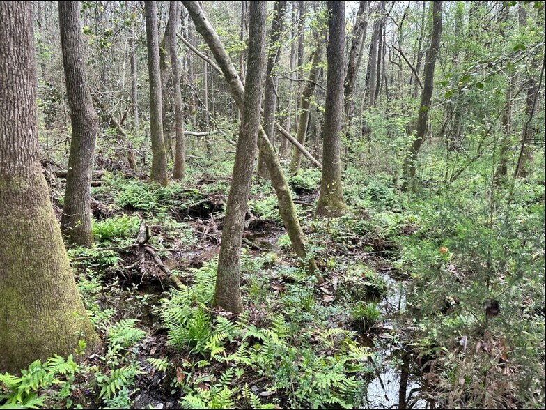 More Photos Of Eufaula Land in Barbour County, Eufaula Land For Sale